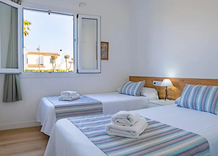 Savina קאלה אן בלאנס